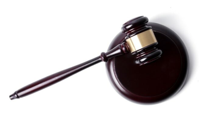 הגשת תביעה בגין נשיכת כלב